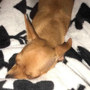 Meet your Posher, Ruby